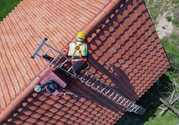 Best Skylight Installation and Repair  in Cypress Gardens, FL